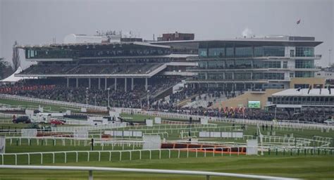 cheltenham festival accumulator tips